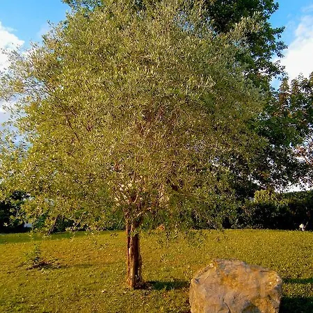 Летний дом Fattoria Dei Baroni *
